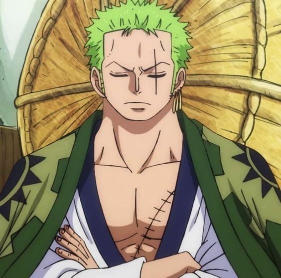 How Old Is Zoro in One Piece?